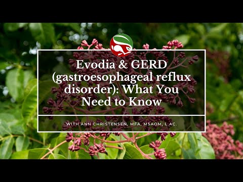 Evodia & GERD (gastroesophageal reflux disorder): What You Need to Know