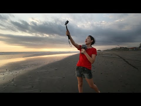 Adventure on the Beach