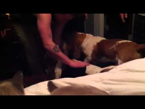 Happy birthday talena