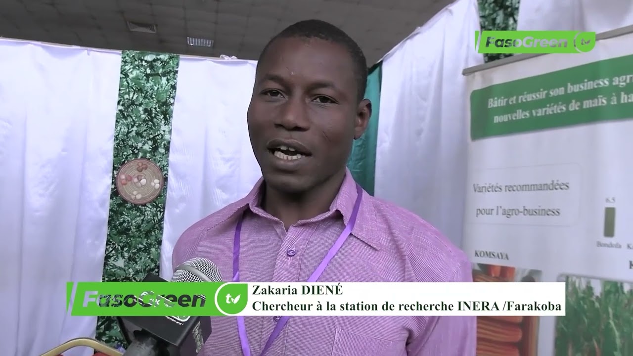INERA Farakoba : Zoom sur quelques variétés améliorées de coton