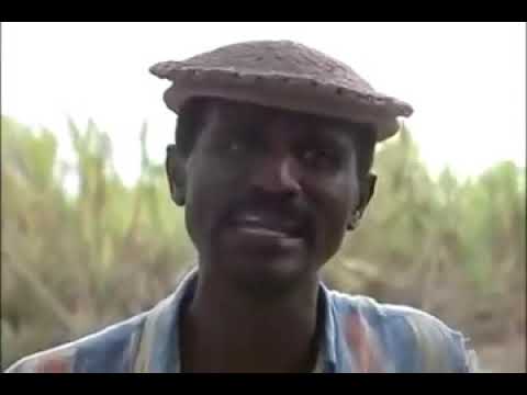 Film complet Bouki nan paradi