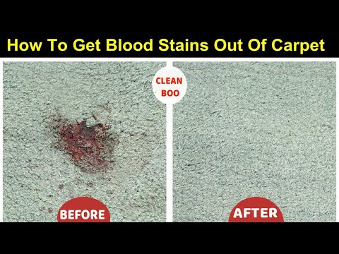 How To Remove Dried Blood Stains From Carpet Simply Fast