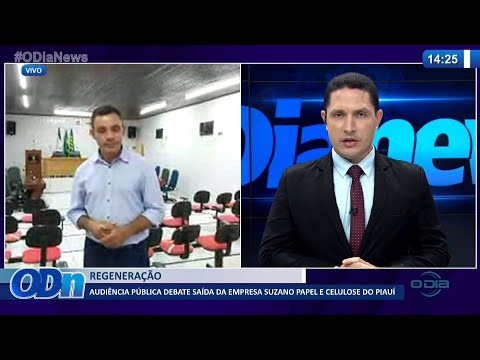 Audiência pública debate saída da empresa Suzano Papel e Celulose do Piauí 16 03 2022