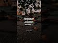 Machan Machan Un Song Lyrics Magical Frames WhatsApp Status Tamil Tamil Lyrics Song