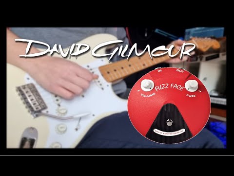 The Fuzz Face • Review for Gilmour and Pink Floyd sound