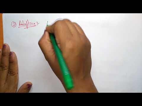 what is software engineering