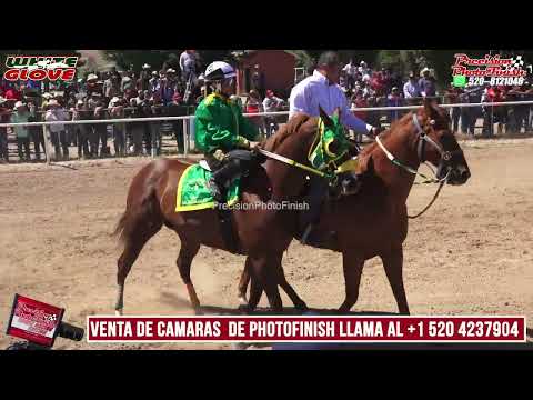Angel Azul C. Santa Cruz vs La Arracada C. Mayitos vs Moro Husky C. Potosina vs China C. Jacalitos🔥