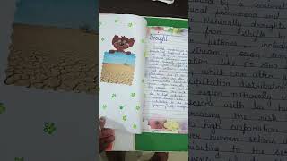 Handmade Sst project file of class 9th (Disaster management)#handmade #artandcraft