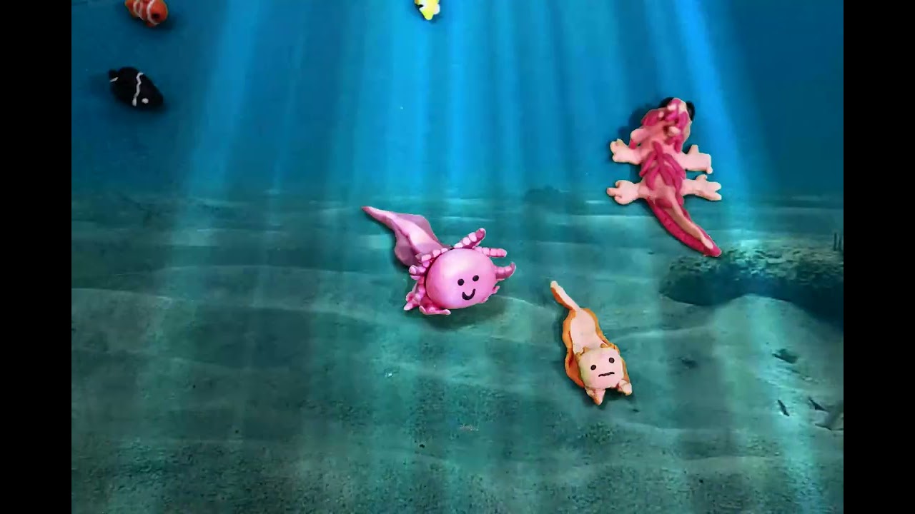 Stop motion 2025 — animation