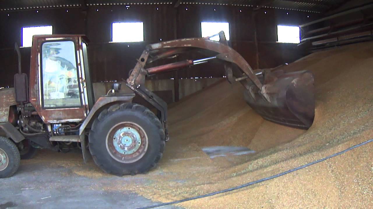 Купить Самодельный Погрузчик В России