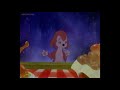 The Many Adventures Of Banjo The Woodpile Cat Part 8 Stuck As Stuck Can Be