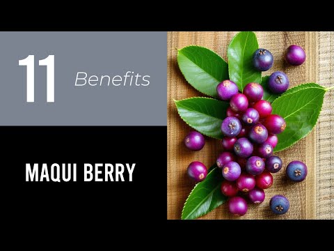 11 Wonders of Maqui Berry
