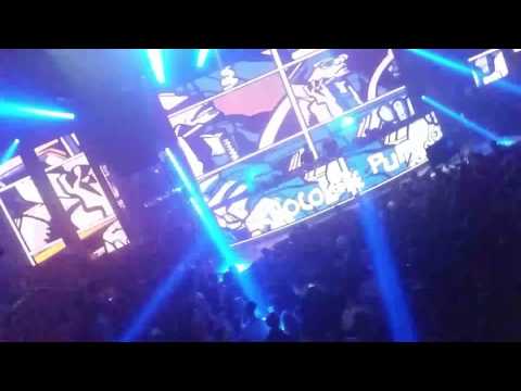 Ministry of fun chocolate puma