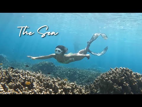 Nicole.Aloha x The Sea