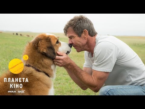 Життя і мета собаки