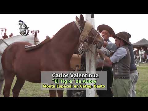 Viale - Monta Especial - Carlos Valentinuz  Vs. "El Tigre" de Aubry- Hiporrecta - 25 Mayo 2026