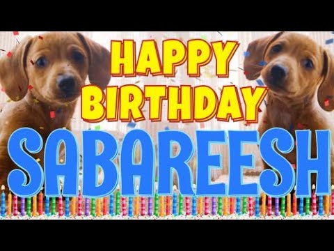 Happy Birthday Sabareesh! ( Funny Talking Dogs ) What Is Free On My Birthday