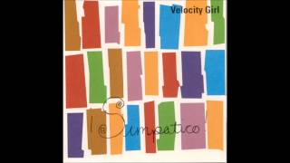Velocity Girl - Labrador