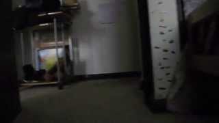 This is my world - Andrew WK -