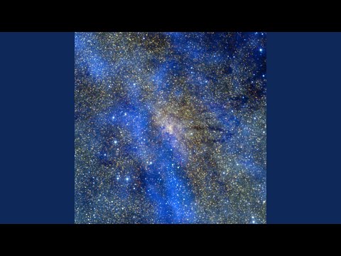 TRAPPIN IN DUBAI / EMILIAN WONK