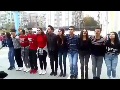 mükkemel Halay Hawar Güle