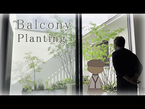 oliviers-pots-terre-cuite-naturelle-jardin