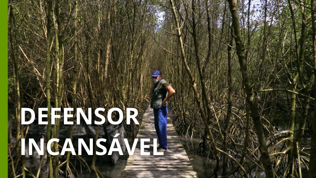 A incansável luta de um biólogo para recuperar o ecossistema da Baía de Guanabara