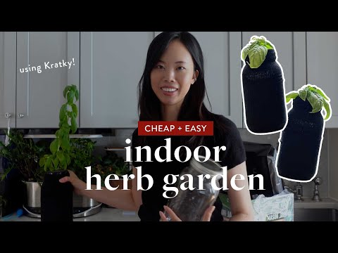 How to Make an Indoor Herb Garden Using Kratky Mason Jars (cheap + easy hydroponics)