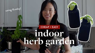 Thumbnail for video: How to Make an Indoor Herb Garden Using Kratky Mason Jars (cheap + easy hydroponics)
