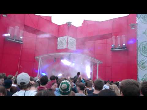 Elements Festival 2013 Skankers Stage