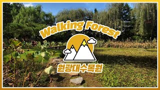 [#Walking_forest] 산책하기 좋은 자연식물원, 원광대수목원