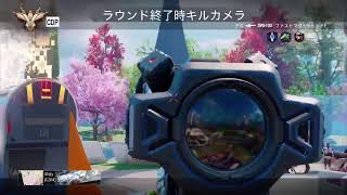 [cod:bo3]　古のゲームをまた楽しもうと思う