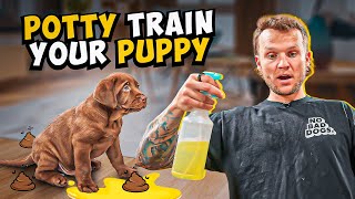 Puppy Training - How To Potty Train A PUPPY In 5 Minutes!