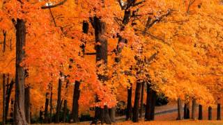 Hammock &amp; Soeloe : Will you ever love yourself in high places