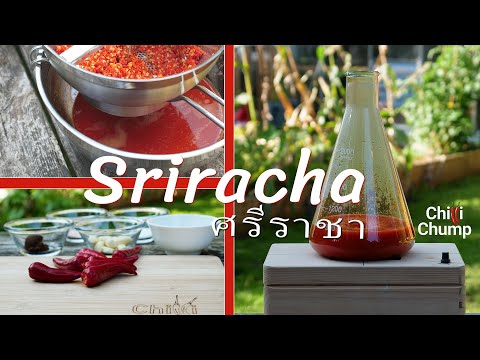 Sriracha hot sauce recipe. Quick, easy and delicious!