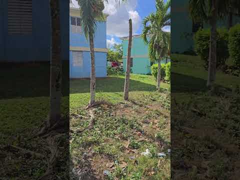 Paseo por Limonar Matanzas Cuba. #cubanosonlineyoutube #cubanos #vlog