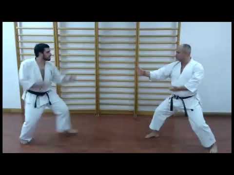 NENAD SIMIC   ROKU DAN   DAI NIPPON KEMPO SHOTOKAN RYU KARATE  DO