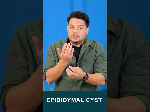 Epididymal Cyst #drhealth #lowspermcount #maleinfertility #oligospermia #shorts #viralshorts