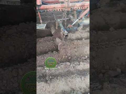 ОСЬ ЯК ПОТРІБНО ПІДГОРТАТИ КАРТОПЛЮ 😱😱💪 #tractor #farming #agro #трактор #farm