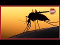Scientists At Kemri Study Effects Of Malaria On Covid Patients