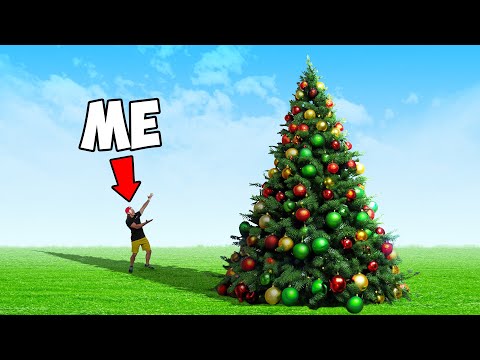 World's Biggest Christmas Tree