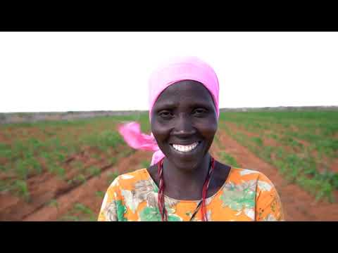 Our History | Concern Worldwide