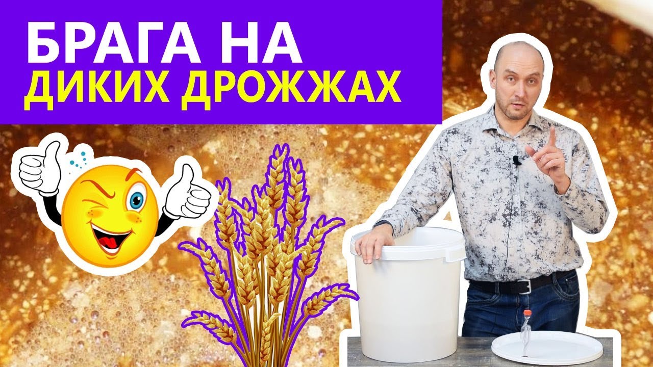 Как выбрать самогонный аппарат?