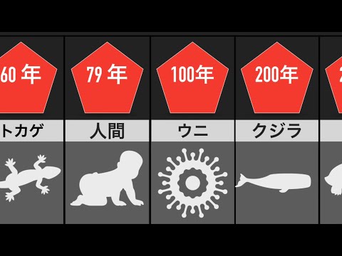 オウムは何年生きますか?