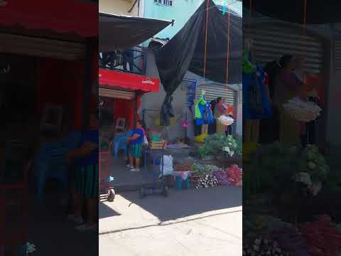 San Francisco  Gotera