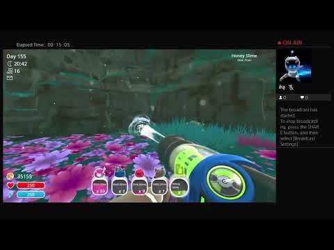 How to get easy glitch slimes in slime rancher