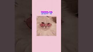Download lagu Dj Industrial Baby Wolfgang Speed Up mp3