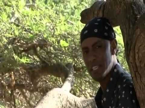 Dagim Mekonnen (Kilolee) - Gelloo - [Oromo Music]