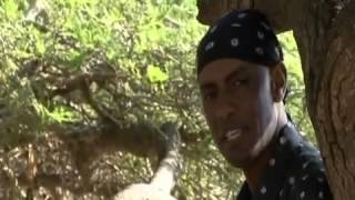 Dagim Mekonnen (Kilolee) - Gelloo - Oromo Music