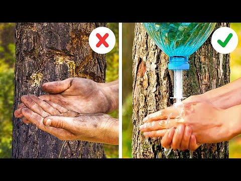 Simple Hacks And Crafts to Make Your Camping Trip More Enjoyable